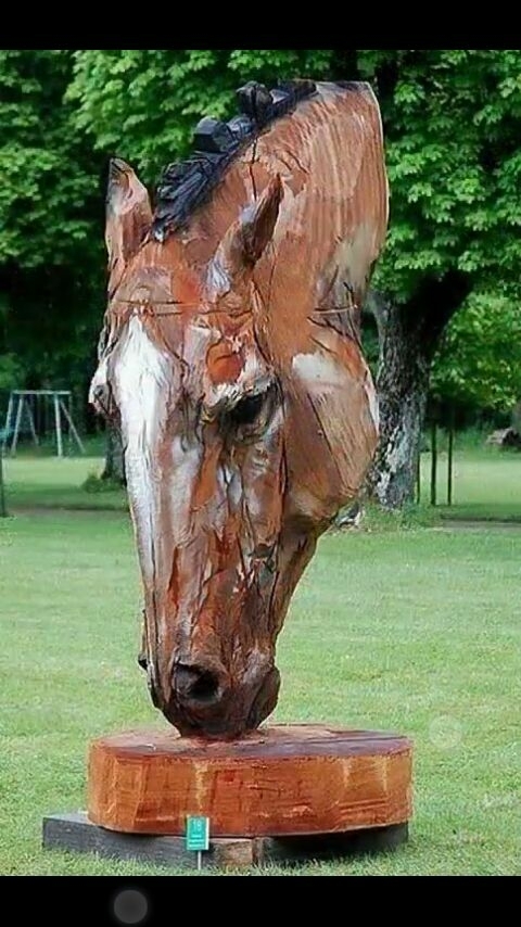 wood horse