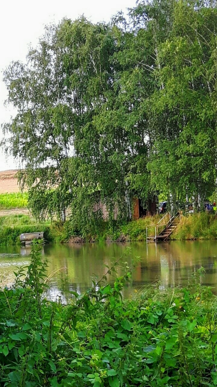 Am Weiher, es ist schön dort
