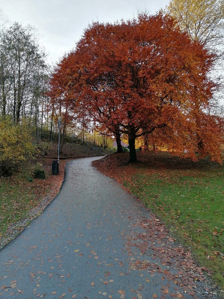 Autumn