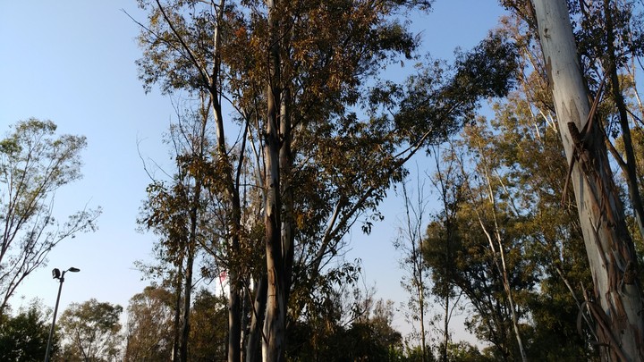 Paisaje