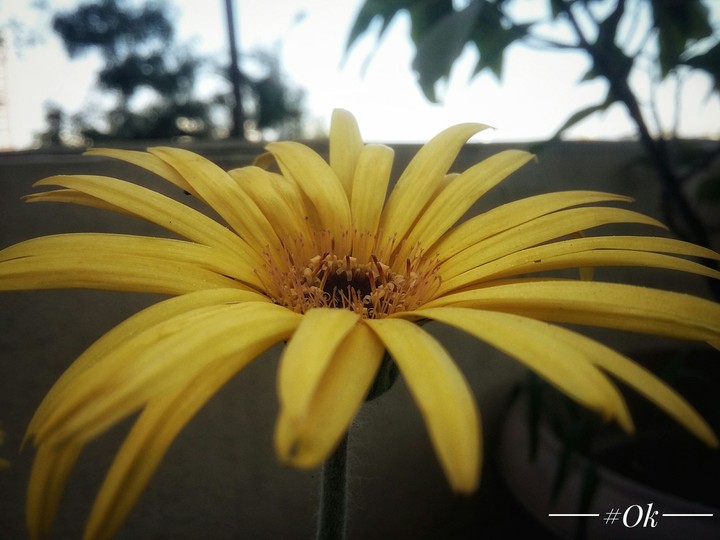 Things are more beautiful in macro world