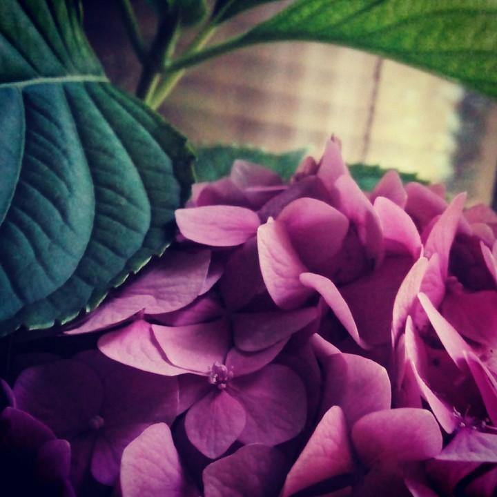 So beautiful flo