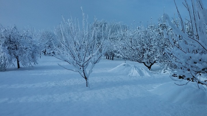SNOW