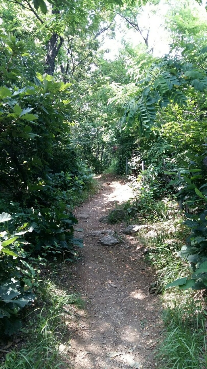 산길