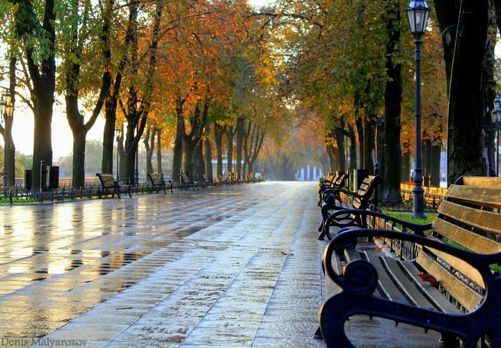 Moya Odessa