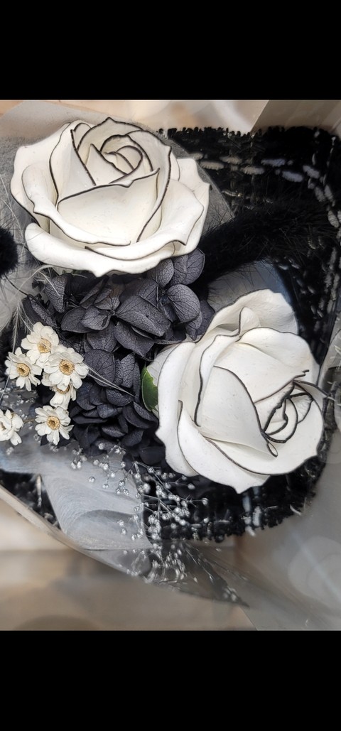 flower, petal wallpapers