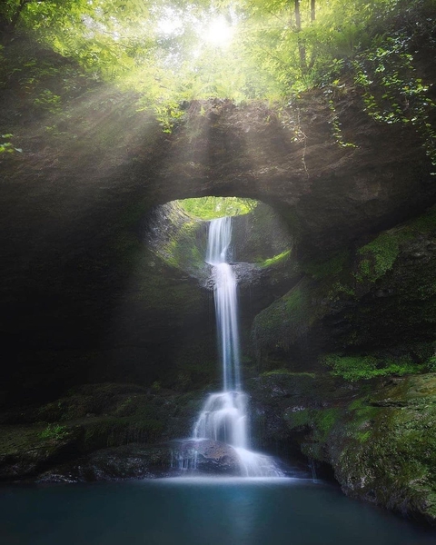 plant, waterfall wallpapers