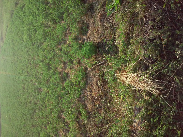 Exploring nature