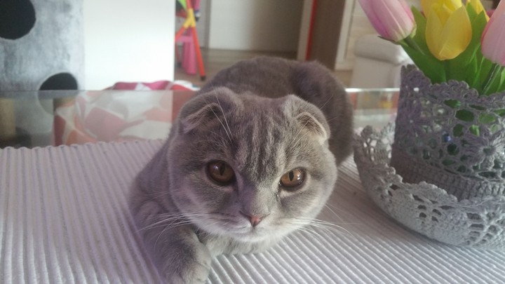 Michou