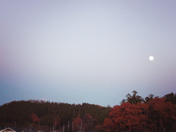 MOON