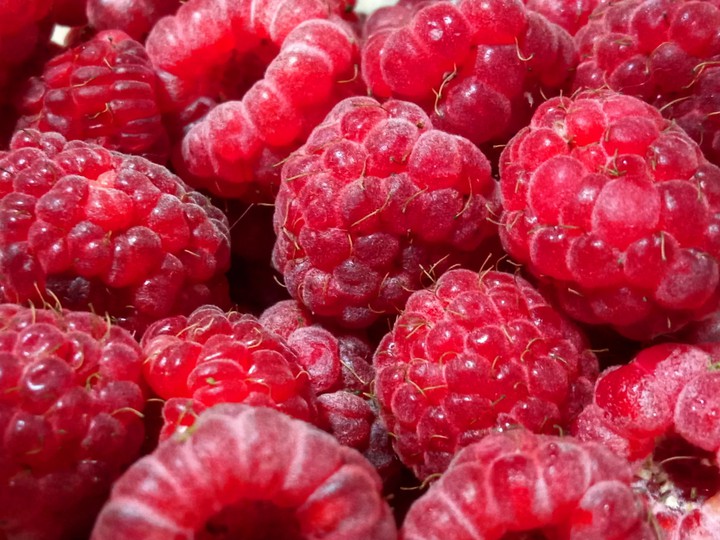 berries