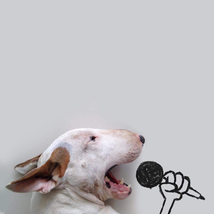 The singer