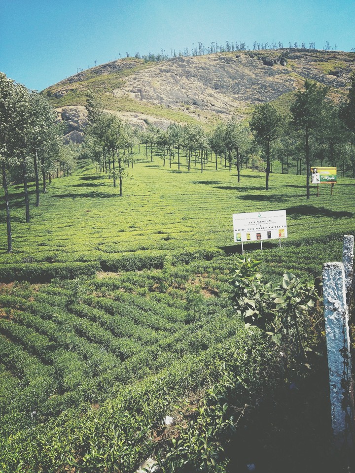 Munnar