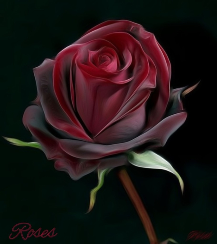 Roses