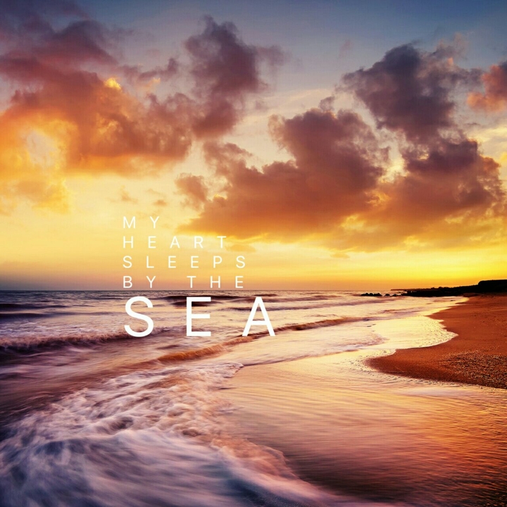sea sight