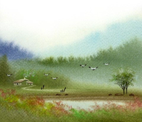 Illustration and Painting