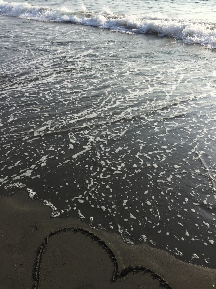 海