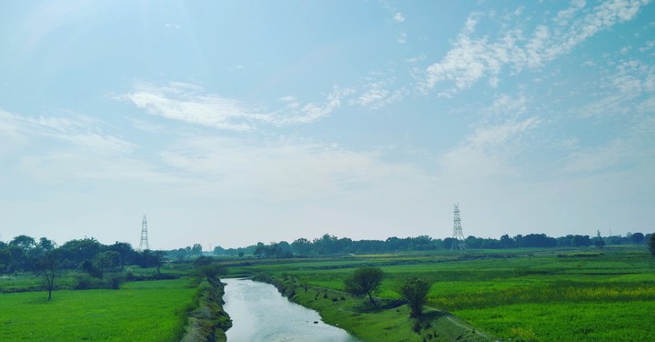 Green with sky