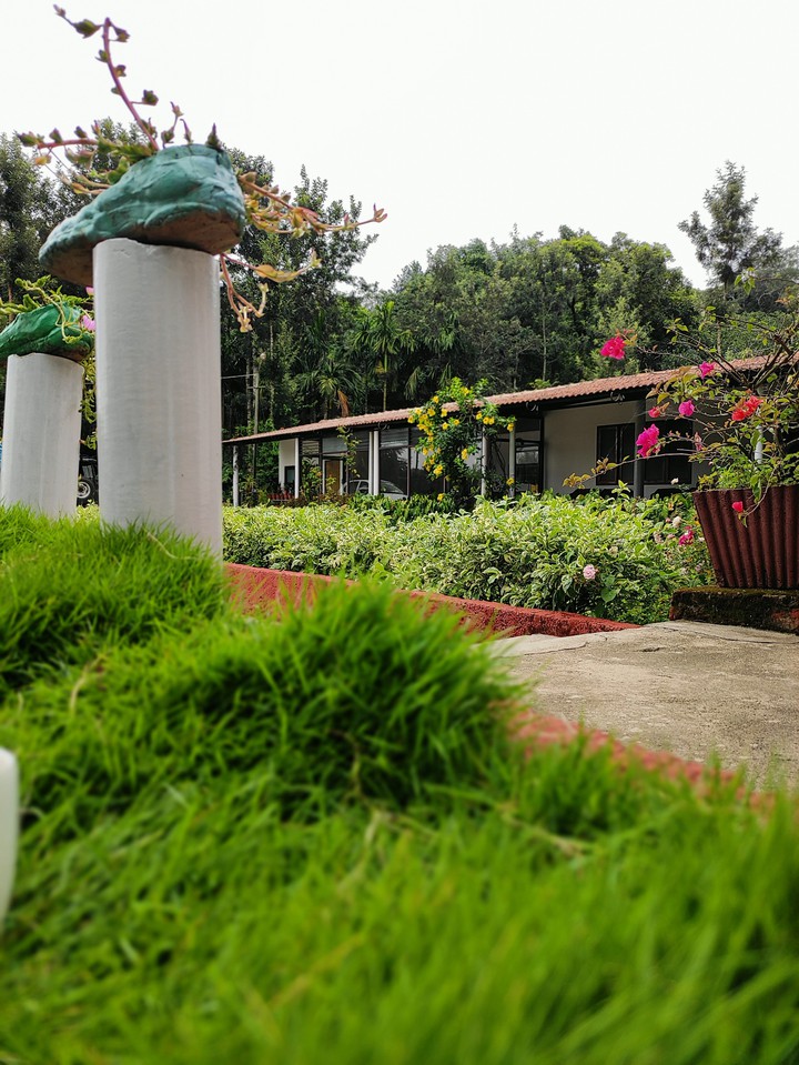 lawn photo