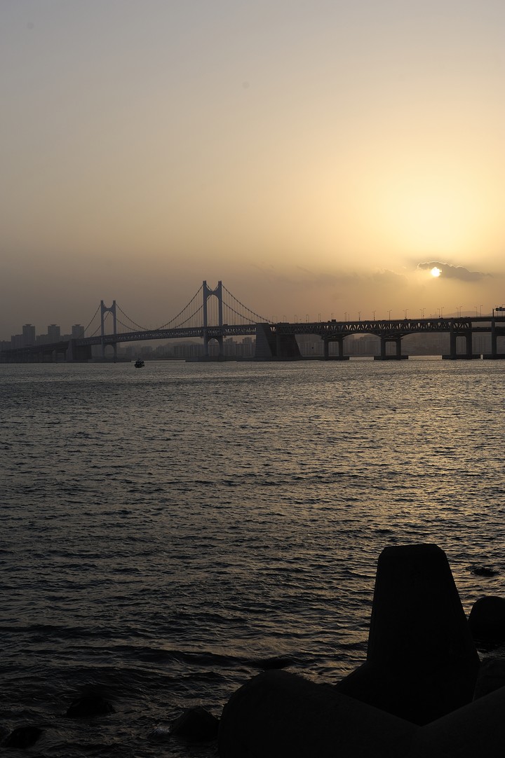 Scenics