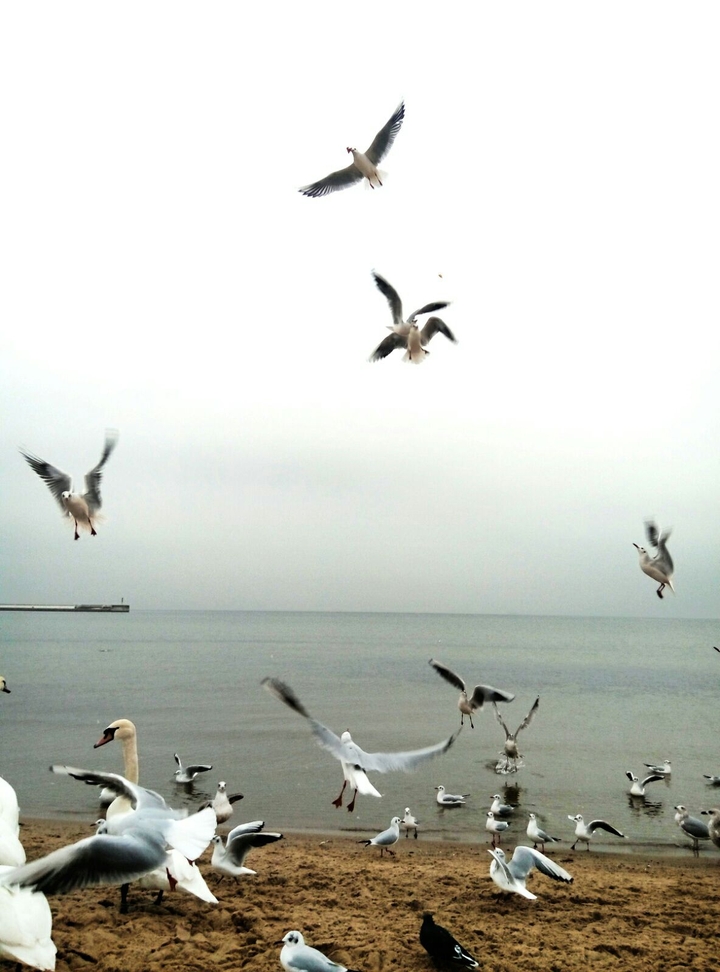 sea