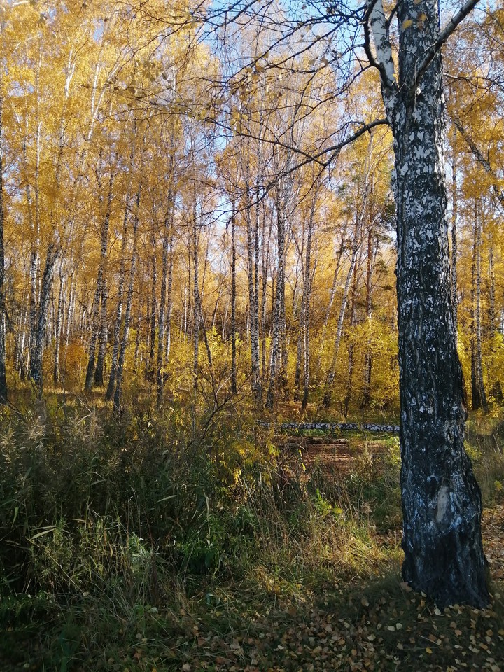 Осень.