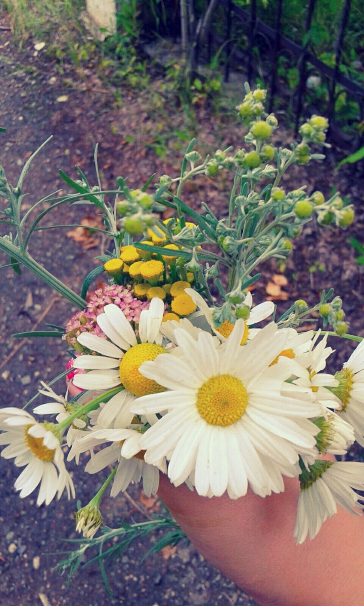 flower