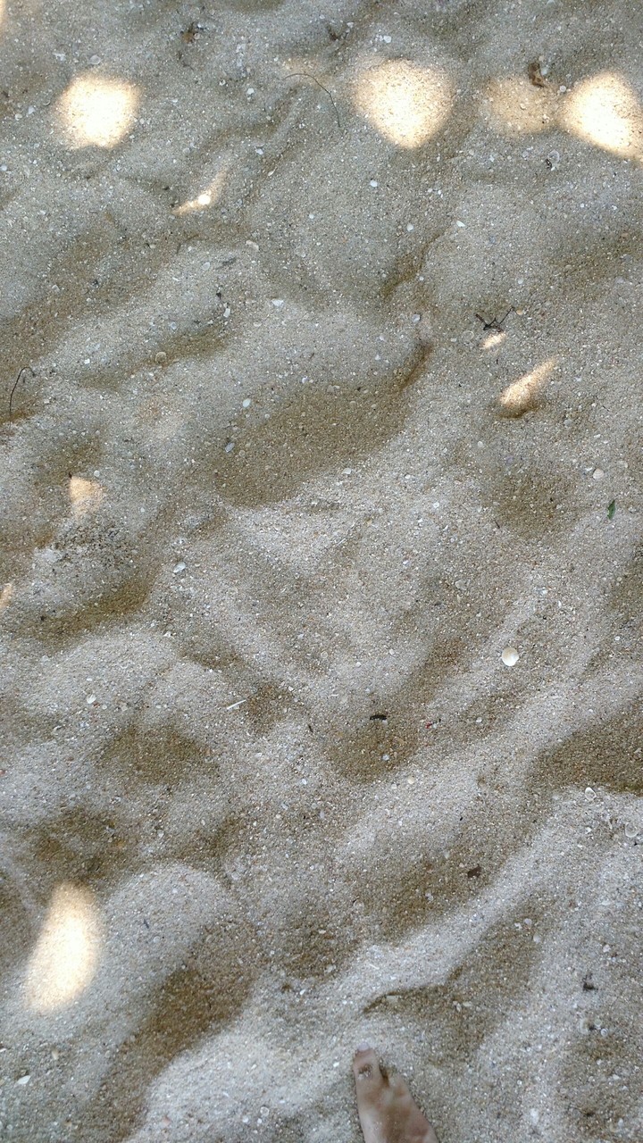 Beach Brasil