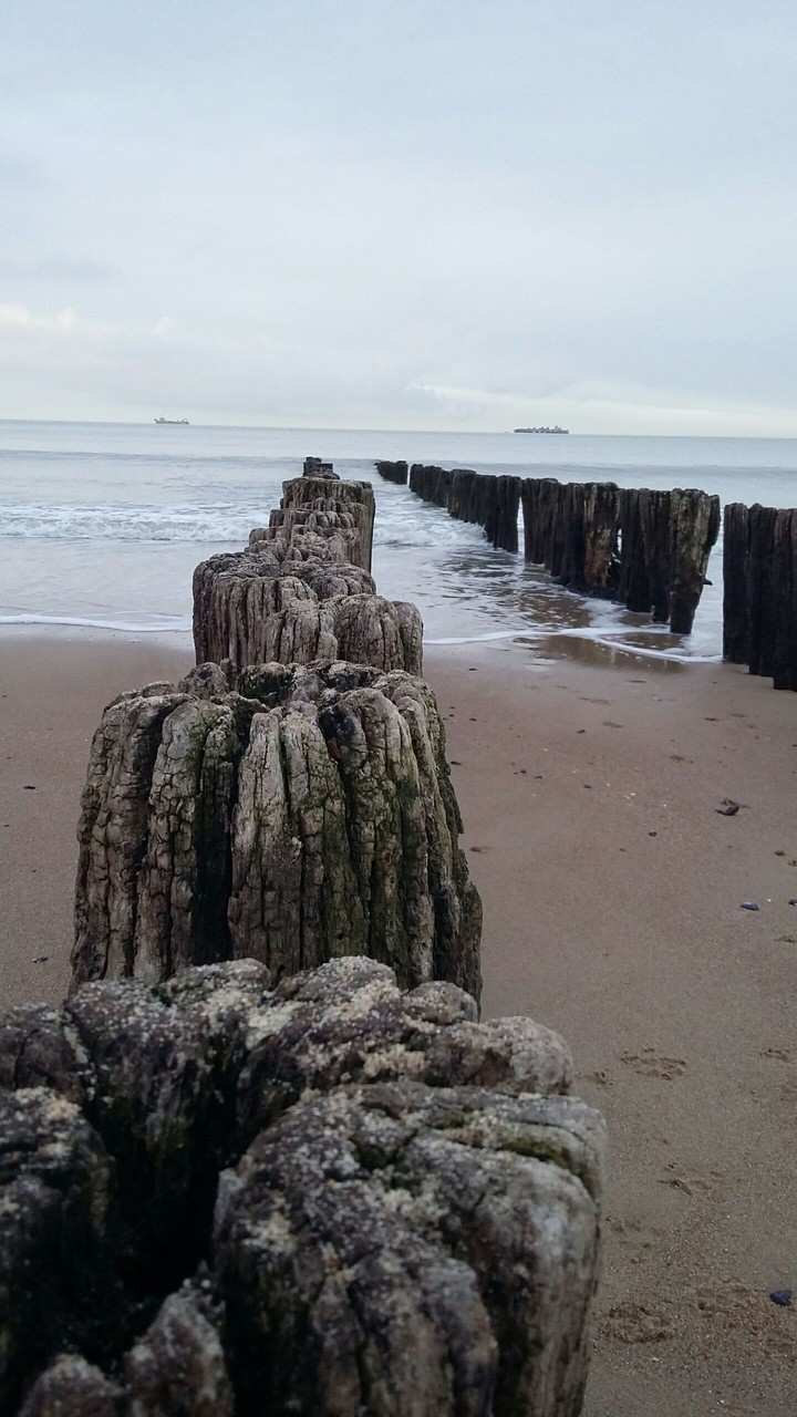 wavebreaker