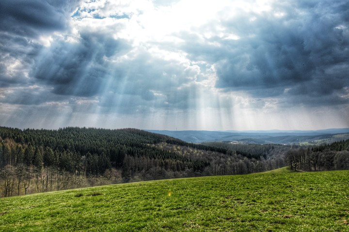 nature