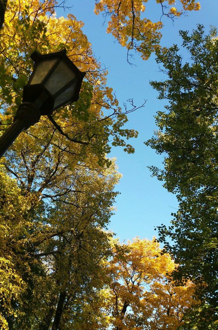 Autumn love