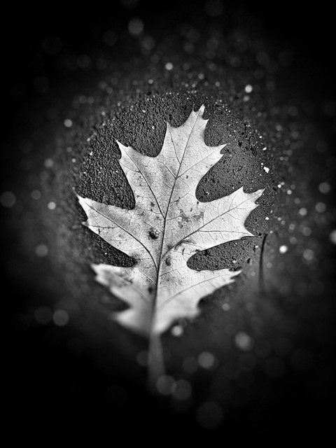 sky, black&white wallpapers