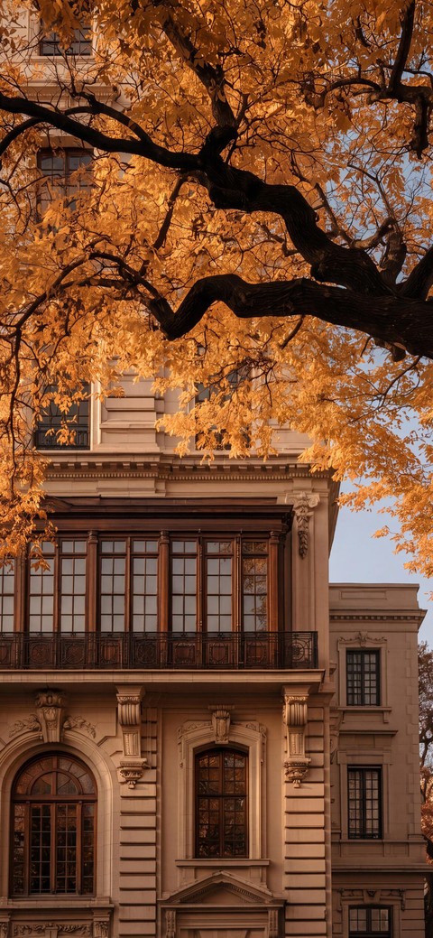 Branch, Twig, Molding