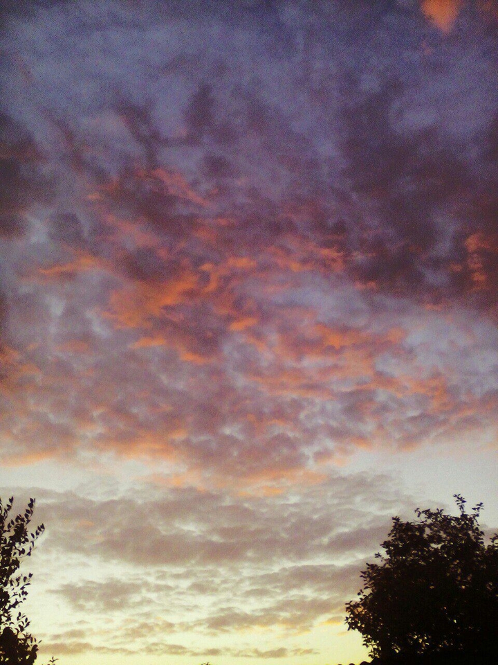 beautiful sunset