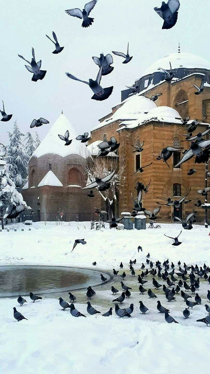 winter
