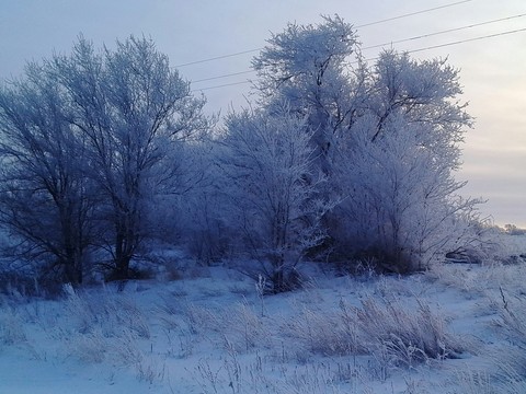 snow