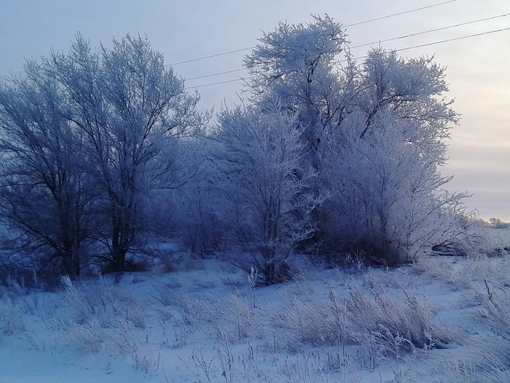 snow