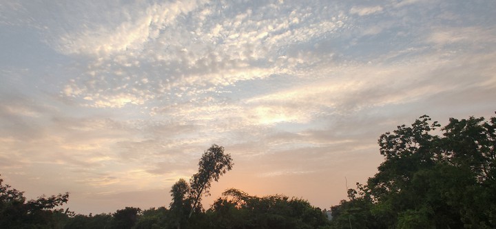 Sky