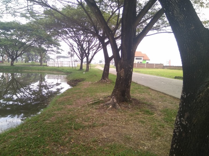 the lake