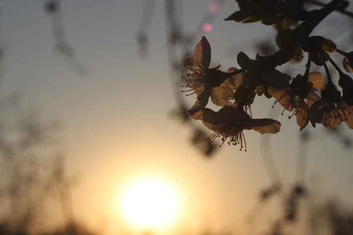 Spring rapsondy