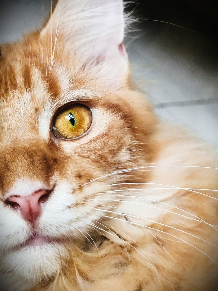 look at my eyes