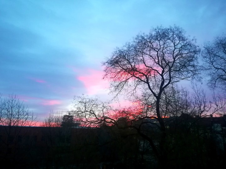 Sky