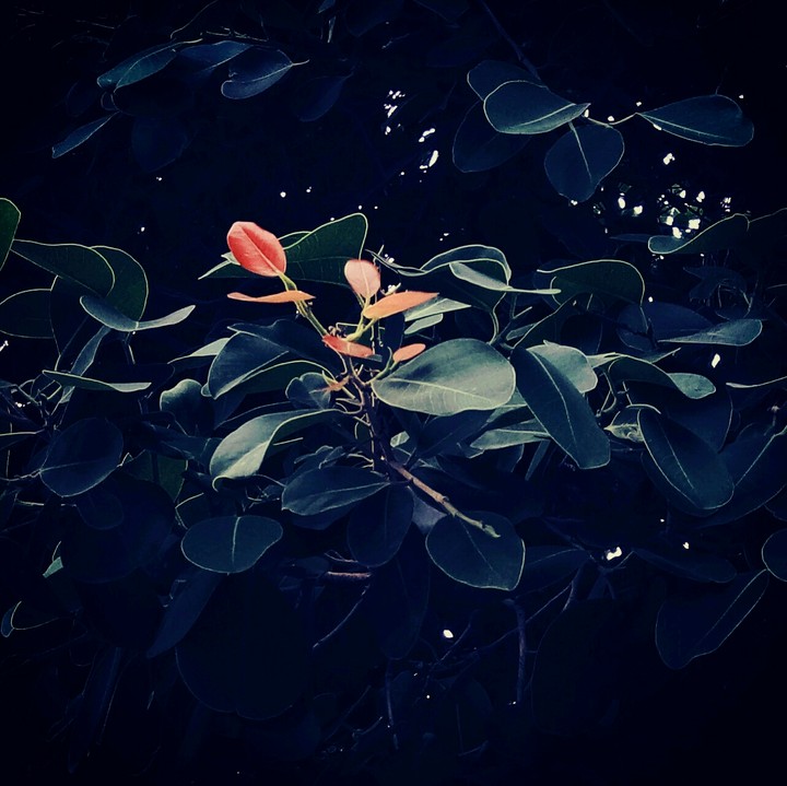 click