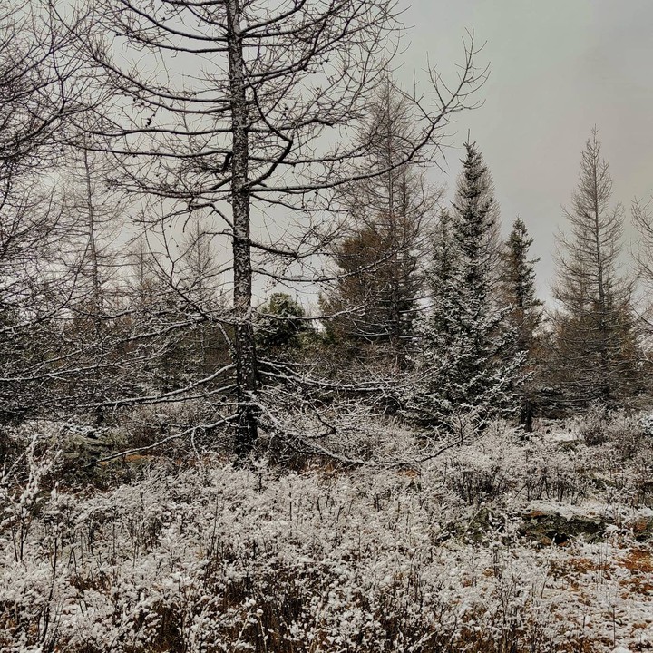 snowing
