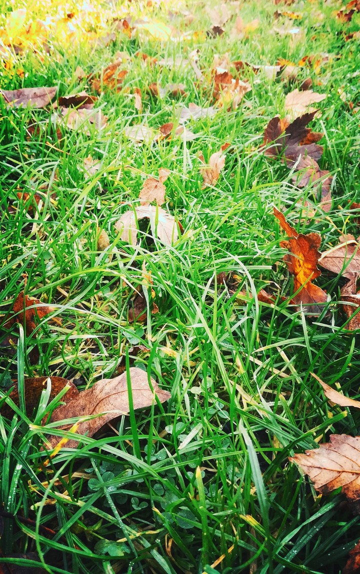 Autumn