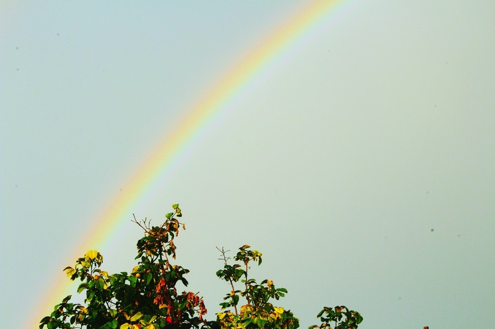 Rainbow