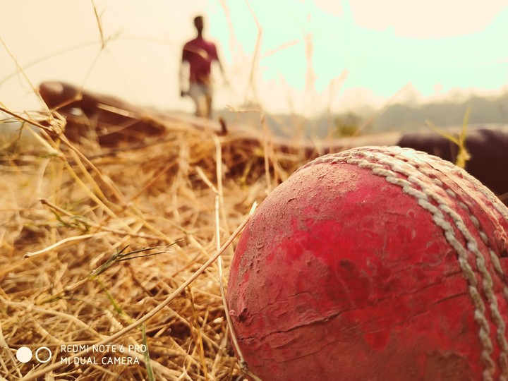 cricket lover