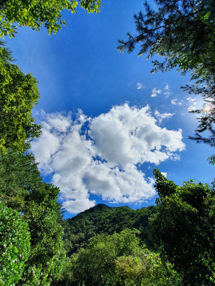 nature