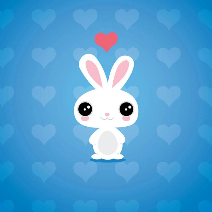 bunny