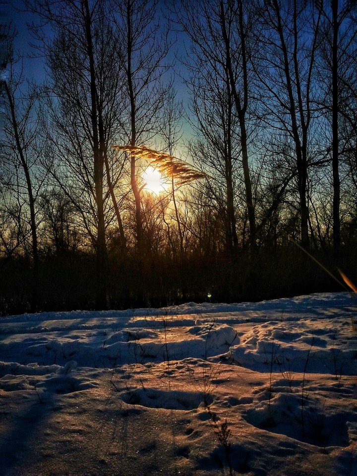 sunset    instagram bardinvladi_mir